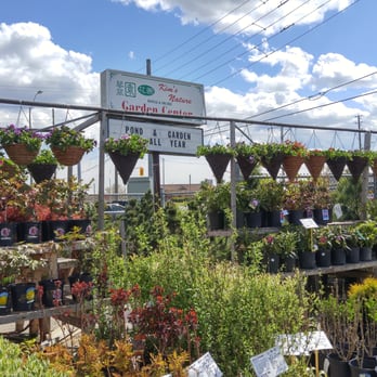 Kim's Nature - Nurseries & Gardening Near Me - Markham, Ontario