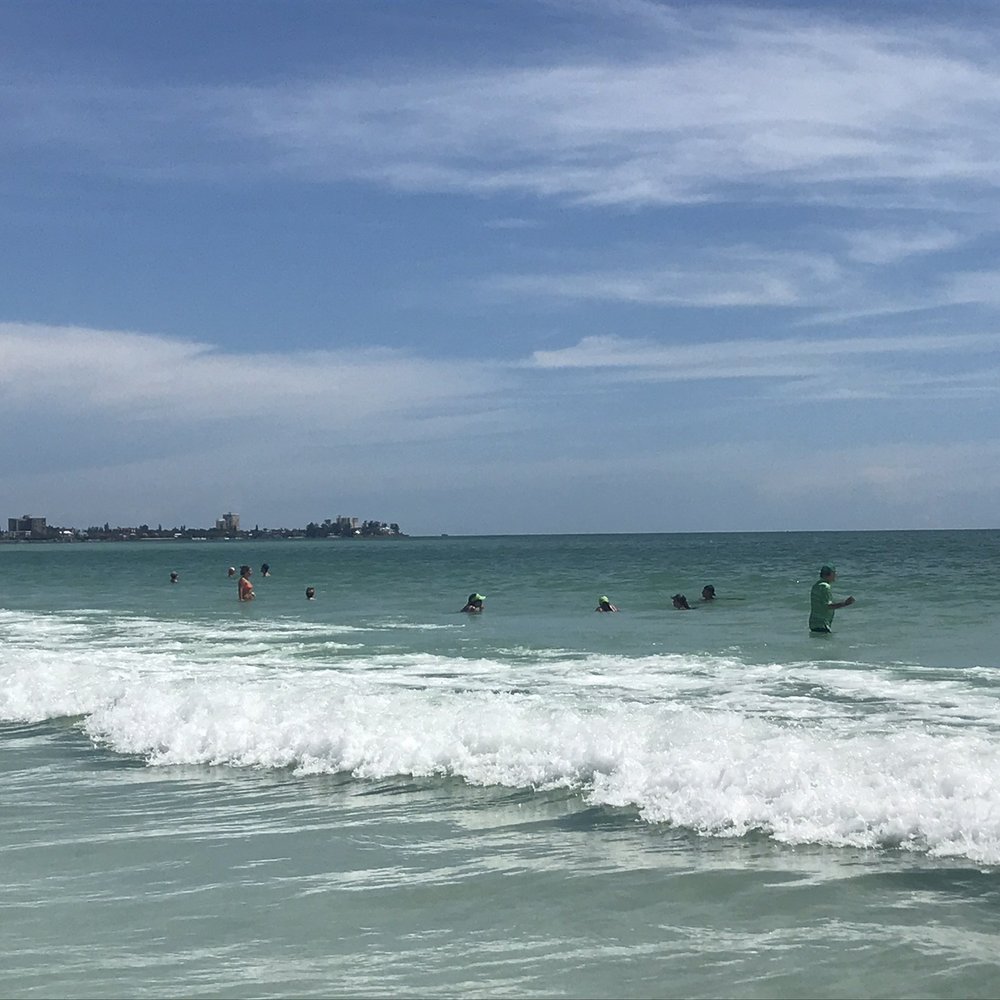 Lido Beach - Beaches Near Me - Sarasota, Florida Lido Beach - Beaches Near Me - Sarasota, Florida