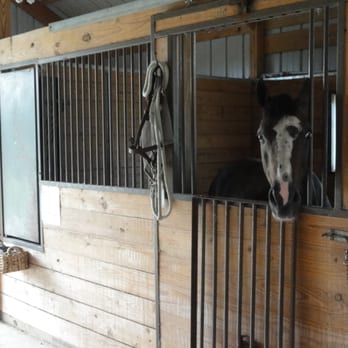 Monarch Stables Austin - Horses enjoy daily turnout, a customized training program, memory foam stall mattresses, and regular rides in the large outdoor - Horseback Riding Near Me - Austin, Texas