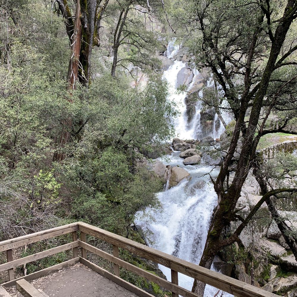 Lewis Creek Trail - Path includes an observation deck. - Hiking Near Me Lewis Creek Trail - Path includes an observation deck. - Hiking Near Me