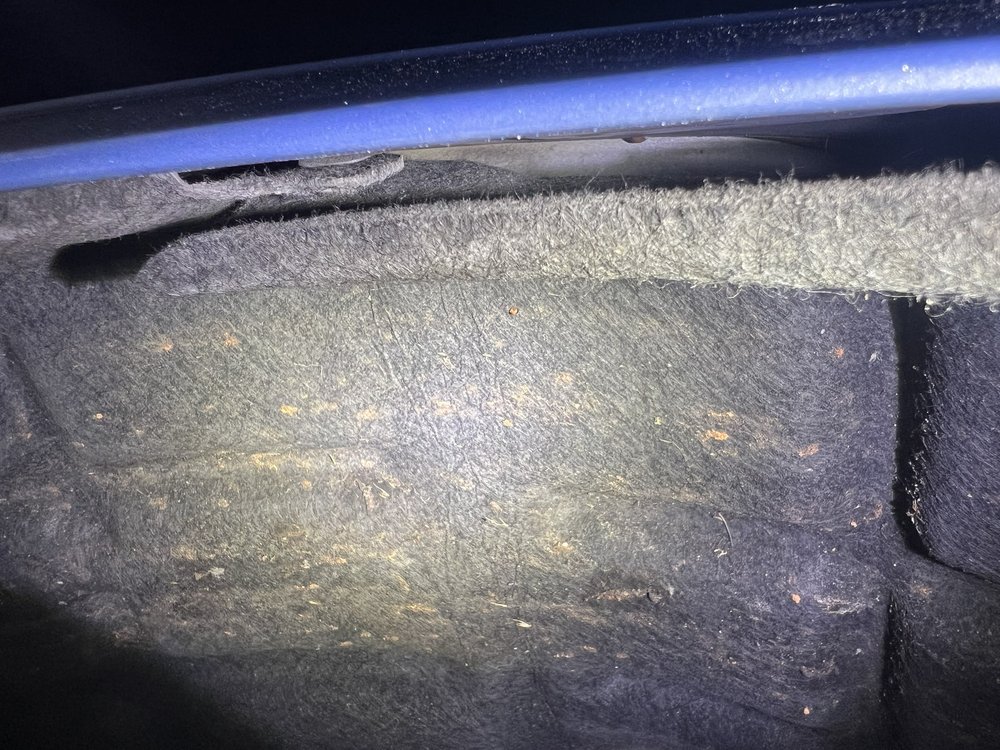 HENDRICK COLLISION CENTER OF CONCORD 11 Photos & 35 Reviews 7300