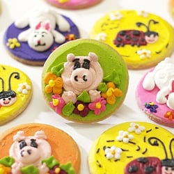 Cory's Cakes - More Cookies