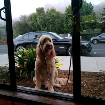 Shell Beach Brewhouse - Gastropubs Near Me - Pismo Beach, California