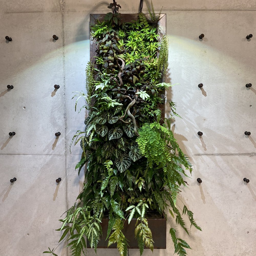 Amazon Spheres - Botanical Gardens Near Me - Seattle, Washington