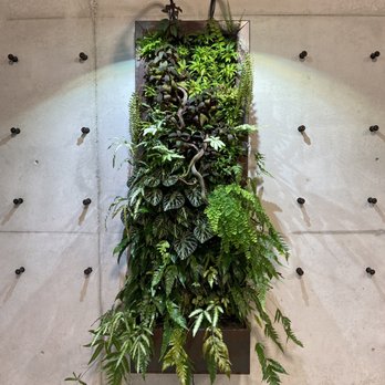 Amazon Spheres - Botanical Gardens Near Me - Seattle, Washington