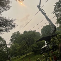 Lewis Tree Service