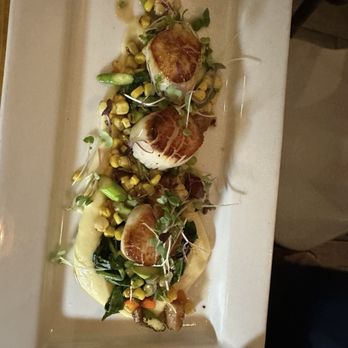 Oak Bistro - Scallops - New American Near Me - Cambridge, Massachusetts