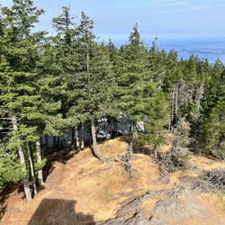 Orcas Island Scenic Shuttle