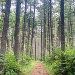 Bear Head Lake State Park