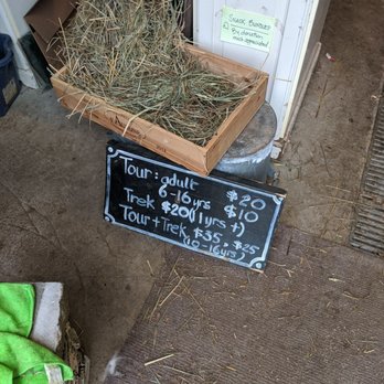 Old Mill Alpacas - Pricing info for tours and treks - Farms Near Me - Colborne, Ontario