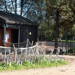 Big Ali Sportvereniging