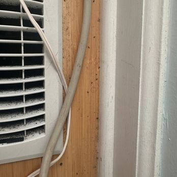 Fox Real Estate - Dead bugs throughout the house. - Real Estate Services Near Me - Ocean City, New Jersey Fox Real Estate - Dead bugs throughout the house. - Real Estate Services Near Me - Ocean City, New Jersey