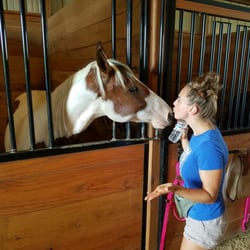 The Gentle Barn
