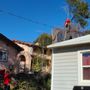 Photo of Ione Tree Service