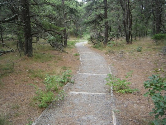 Great Island Trail by null