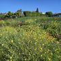 Photo of Upper Newport Wilderness Preserve