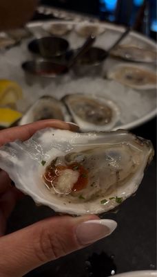 Row 34 - Cambridge by null