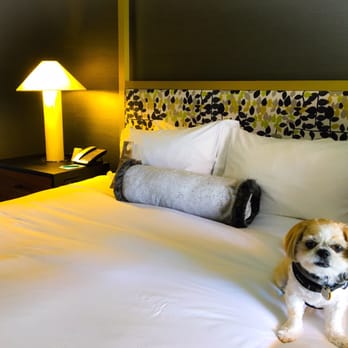 Kimpton Brice Hotel - Hotels Near Me - Savannah, Georgia