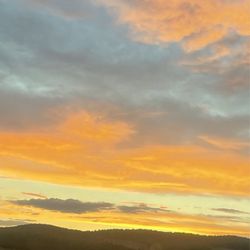 Lonnie Leslie Painting - Lonnie Leslie Painting 208 417 6&)&