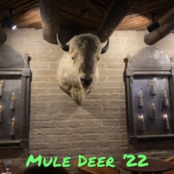Gage Hotel - One expensive Tatanka - Hotels Near Me - Marathon, Texas