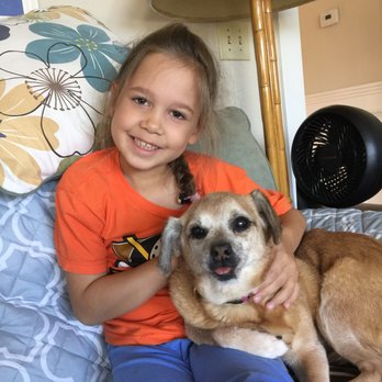 A Wish for Animals - Jenny - foster/adopted - Animal Shelters Near Me A Wish for Animals - Jenny - foster/adopted - Animal Shelters Near Me