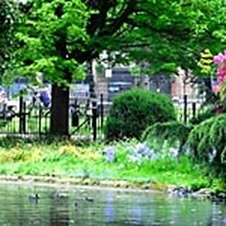 Ravenscourt Park