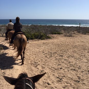 Rancho Carisuva - Horseback Riding Near Me - Cabo San Lucas, BCS Rancho Carisuva - Horseback Riding Near Me - Cabo San Lucas, BCS