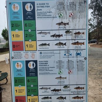 Castaic Lake - So many fish! - Lakes Near Me - Santa Clarita, California Castaic Lake - So many fish! - Lakes Near Me - Santa Clarita, California
