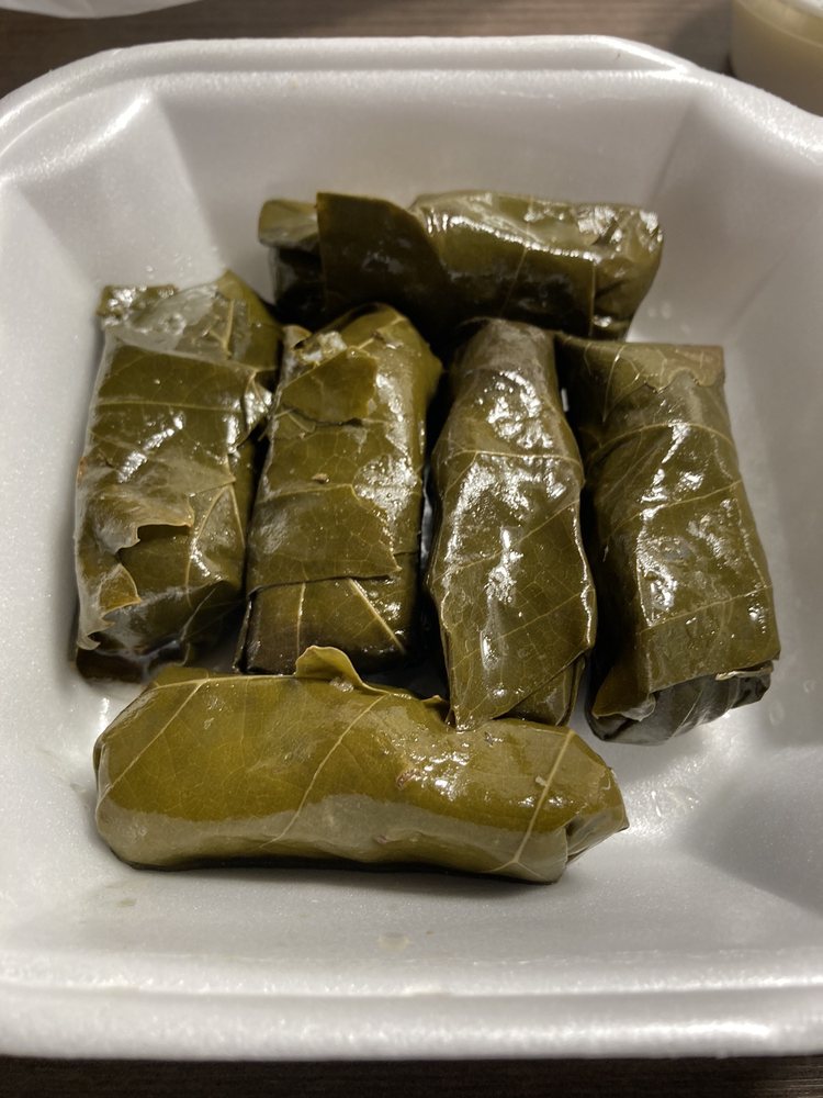 Greek Style Gyro Logo