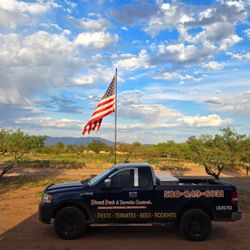 Direct Pest and Termite Control