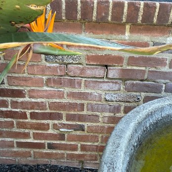 Dibara Masonry - Before - Masonry/Concrete Near Me - Glendale, California