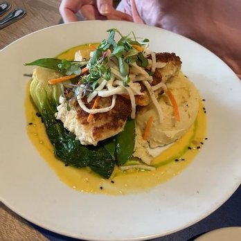 Claytons Siesta Grille - Macadamia Encrusted Grouper with Yukon Mash Potatoes and Bok Choy - New American Near Me - Sarasota, Florida Claytons Siesta Grille - Macadamia Encrusted Grouper with Yukon Mash Potatoes and Bok Choy - New American Near Me - Sarasota, Florida