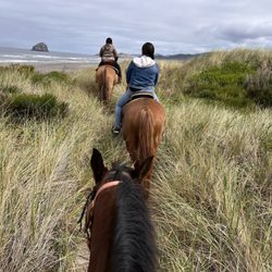 M&R Beach Rides