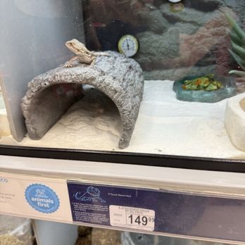 Petco - Animal abuse - Pet Stores Near Me - Mesa, Arizona Petco - Animal abuse - Pet Stores Near Me - Mesa, Arizona