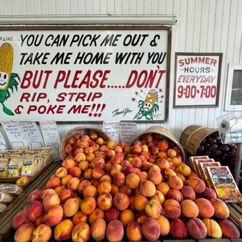 Szalay's Sweet Corn Farm - Fruits & Veggies Near Me - Peninsula, Ohio Szalay's Sweet Corn Farm - Fruits & Veggies Near Me - Peninsula, Ohio