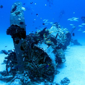 Island Divers - corsair wreck - Scuba Diving Near Me - Honolulu, Hawaii Island Divers - corsair wreck - Scuba Diving Near Me - Honolulu, Hawaii