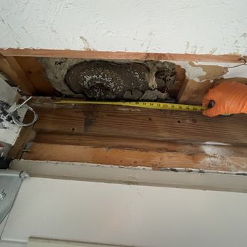 Exterminex Pest Control - Over the garage door - Pest Control Near Me - Massapequa, New York Exterminex Pest Control - Over the garage door - Pest Control Near Me - Massapequa, New York
