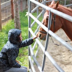 Red Moon Ranch