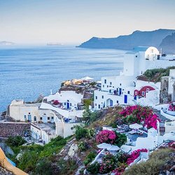TRAVELINK - Immerse yourself in the food, history, and culture around the world. We'll arrange it.