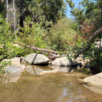 Wheeler Gorge Campground - Creek running behind the campsite. - Campgrounds Near Me - Ojai, California