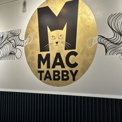 Mac Tabby Cat Cafe