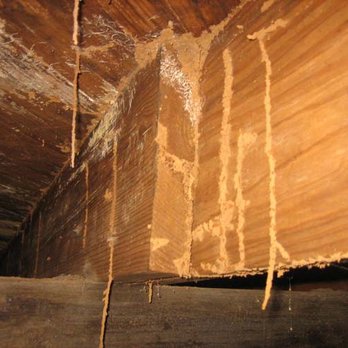 Grace Home Inspection Services - Home Inspectors Near Me - Pearland, Texas Grace Home Inspection Services - Home Inspectors Near Me - Pearland, Texas