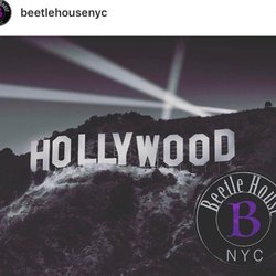 Beetle House LA - Opens May 20th