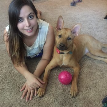 VCA Arbor Animal Hospital - A few months after a rigorous treatment plan, she was all cleared up. Thank you! - Veterinarians Near Me - Austin, Texas VCA Arbor Animal Hospital - A few months after a rigorous treatment plan, she was all cleared up. Thank you! - Veterinarians Near Me - Austin, Texas