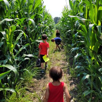 Kingdom Corn Maze - Kid-friendly corn maze - Pick Your Own Farms Near Me - Sutton, Vermont