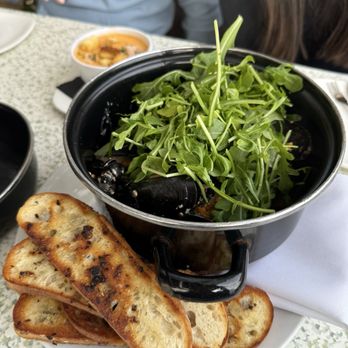 C Level - Steamed Mussel Pot - New American Near Me - San Diego, California