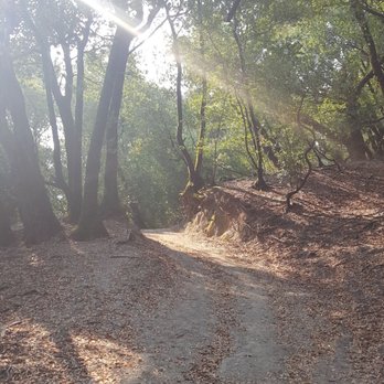 Las Trampas Regional Wilderness - Parks Near Me - San Ramon, California Las Trampas Regional Wilderness - Parks Near Me - San Ramon, California