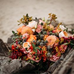 Fleurs Du Soleil