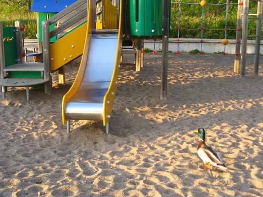 Bde Maka Ska by null