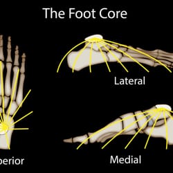 Align Renew Thrive Physical Therapy - We help you strengthen your foot and body core for better performance and health